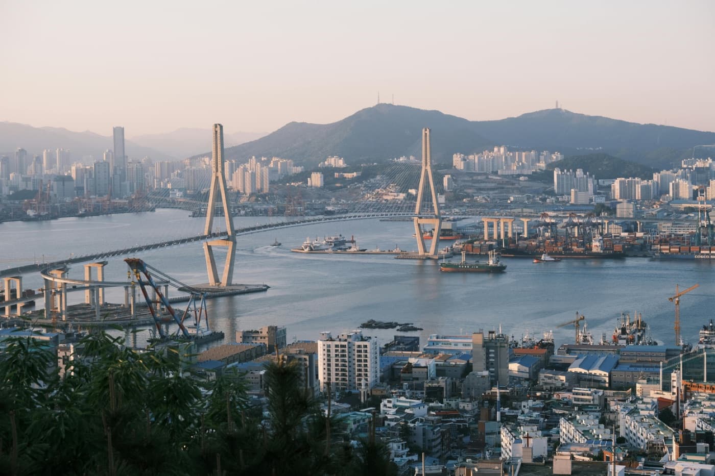 에듀트립 글로벌 교육 교류